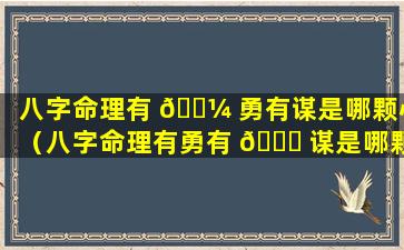 八字命理有 🐼 勇有谋是哪颗心（八字命理有勇有 🐝 谋是哪颗心的意思）